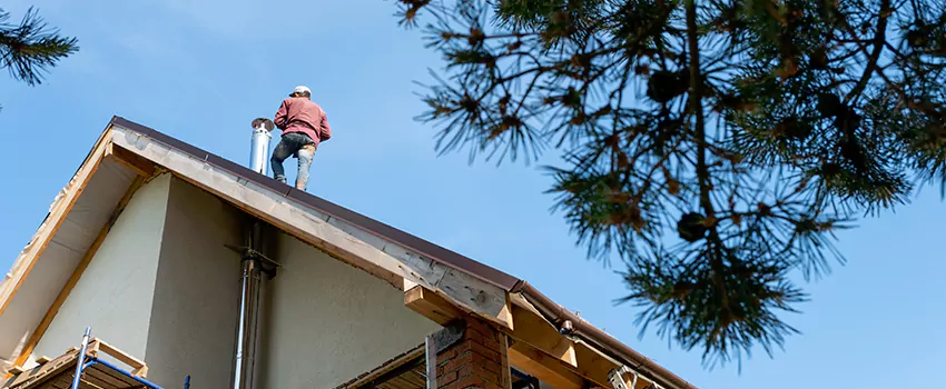 Birds Removal Contractors from Chimney in Punta Gorda, FL